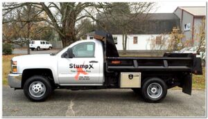 stumpx_web